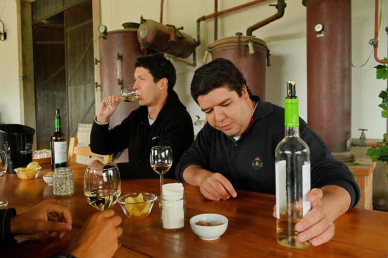 Lisbon: Surf Lesson, Sesimbra & Arrábida Wine Tasting Tour - Practical Details: Meeting Point, Group Size, and Whats Included