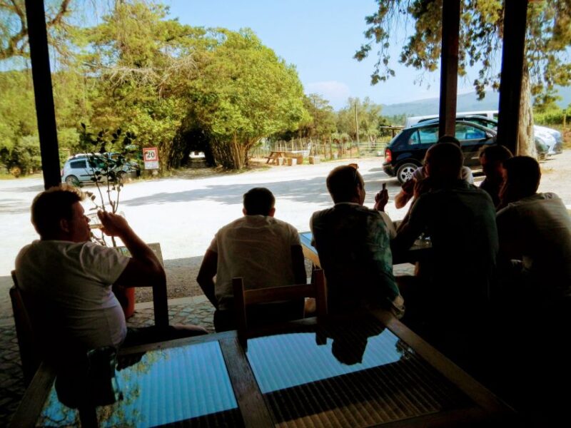 Lisbon: Surf or Bodyboard and Wine Tasting - Practical Details and What to Bring