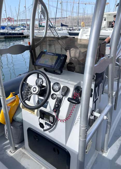 Lisbon: Tagus River Marine Wildlife Speedboating Adventure - Comparing Similar Experiences in Lisbon