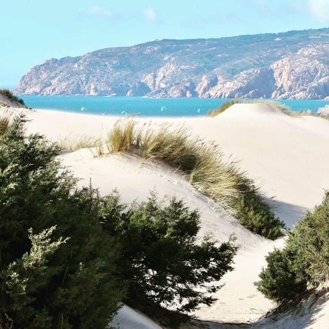 Lisbon: Tailored Tour - Visiting Lisbon’s Iconic Neighborhoods and Sites