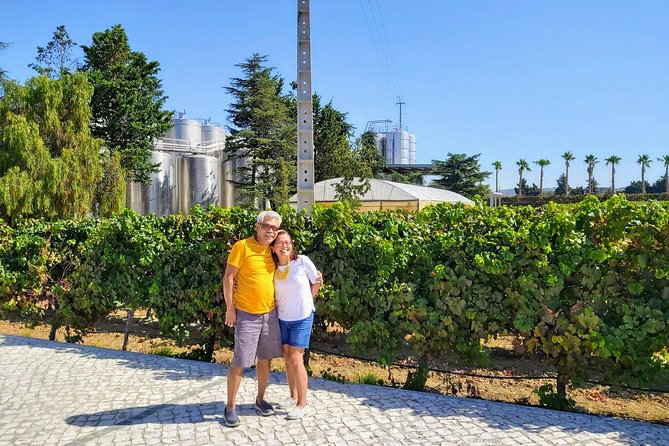 Lisbon & The South Side Wine Regions Private Luxury Tour - Key Points
