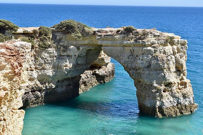 Lisbon to Algarve with stops up to 4 cities - Wine Tasting at Quinta da Tôr
