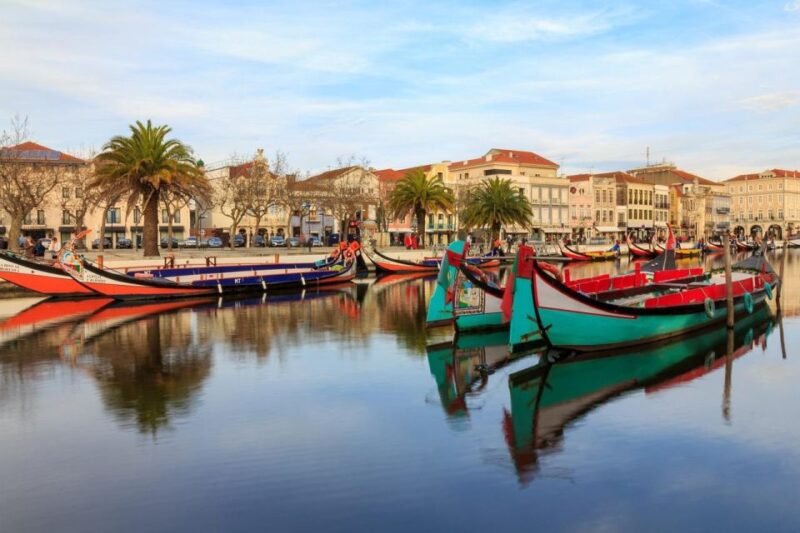 Lisbon to Porto Escapade: Aveiro and Coimbra Delights - Logistics and Group Size: Flexibility and Comfort