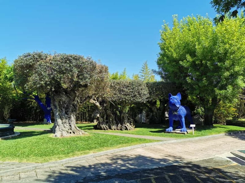 Lisbon to Wine Tasting Setubal, Two Cellars, Half Day Tour - Discover Setubal’s Wine Heritage in Half a Day