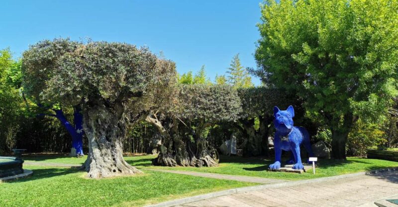 Lisbon to Wine Tasting Setubal, Two Cellars, Half Day Tour - The Scenic Vineyards and Landscapes of Setubal