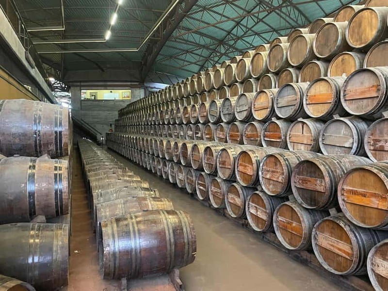 Lisbon: Tour Cristo Rei, Setúbal, Arrábida, Azeitão, Palmela - Scenic Drive through Arrábida Natural Park