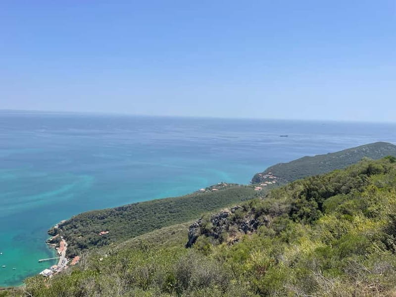 Lisbon: Tour Cristo Rei, Setúbal, Arrábida, Azeitão, Palmela - Tasting the Flavors of Azeitão: Cheese, Pastries, and Wines