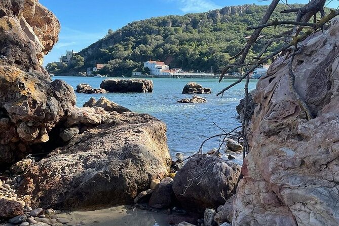 Lisbon Tour to Setúbal, Mountains and Sea, with Wine Tasting - Discovering Setúbal’s Maritime Charm