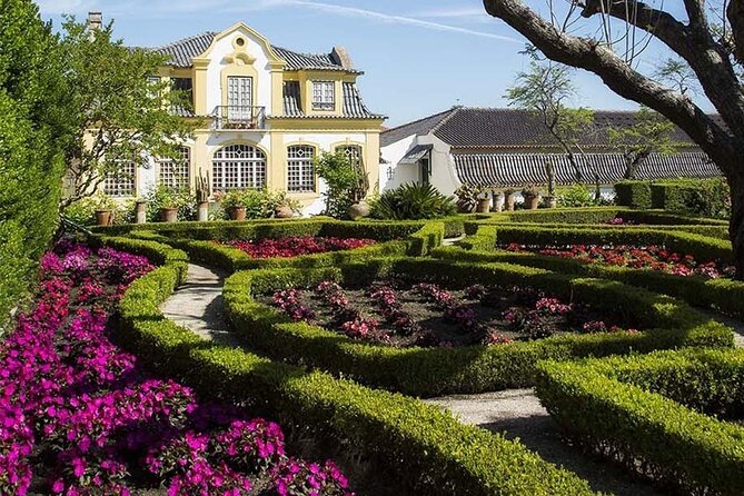 Lisbon Tour to Setúbal, Mountains and Sea, with Wine Tasting - Wine Tasting at José Maria da Fonseca