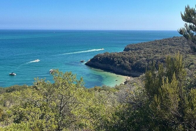 Lisbon Tour to Setúbal, Mountains and Sea, with Wine Tasting - Exploring Azeitão’s Food Traditions