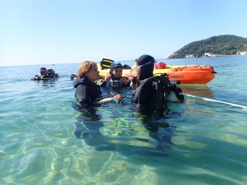 Lisbon: Try Dive in Arrábida Marine Reserve Setubal Sesimbra - The Safety Briefing and Equipment Introduction