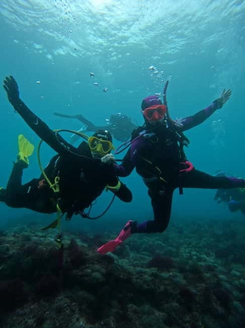 Lisbon: Try Scuba Diving in Arrábida Marine Reserve w/photos - Comparing This Tour to Other Marine Experiences in the Area