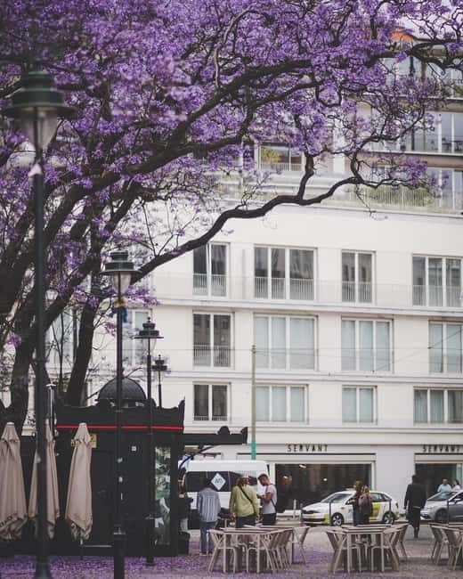 Lisbon: Tuk Tuk Tour of Belém Historic Area - Key Points
