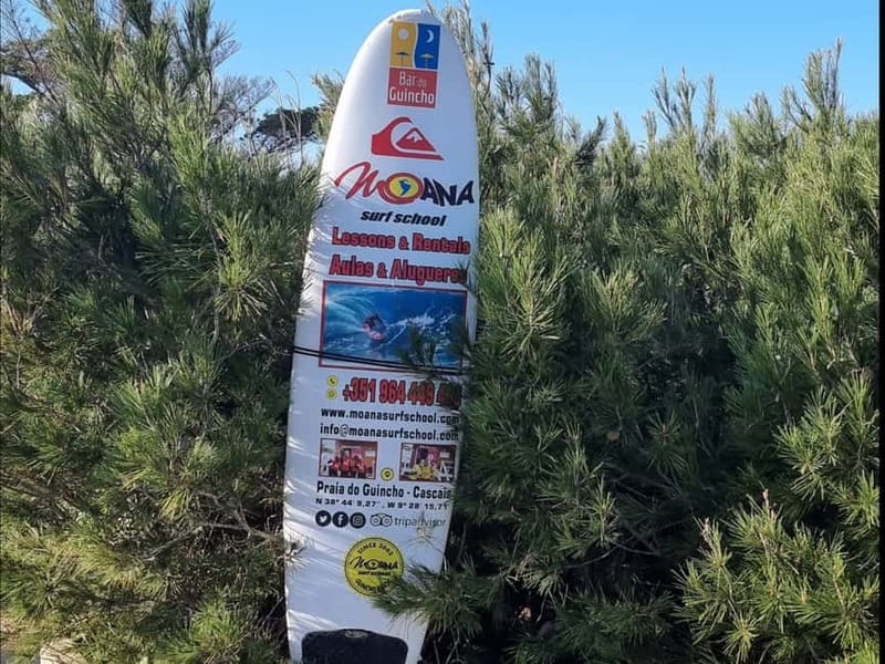 Lisbon viewpoints, archaeological Roman amphitheater & Belém - Visit the Roman Amphitheater Archaeological Site