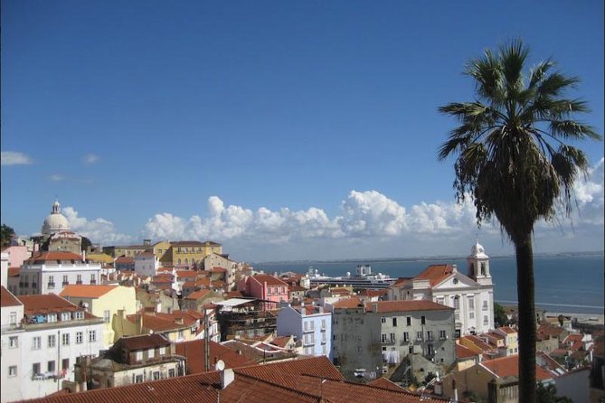 Lisbon walking tailored private tour (half day) - The Guide’s Expertise and Personalized Approach