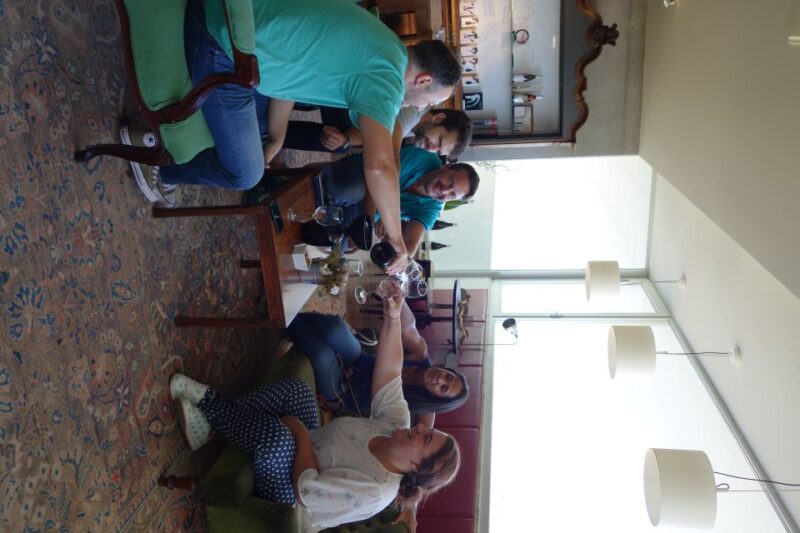 Lisbon Wine Tasting Private Tour - Lisbon Wine Tasting Private Tour: An In-Depth Look at Portugal’s Vineyards and Culture