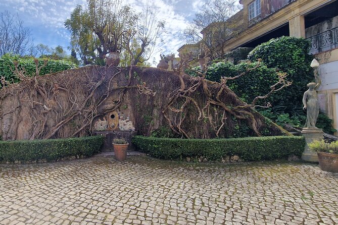 Lisbon Wine Tour: Azeitao, Setubal and Arrabida and Hotel Pickup - Exploring Sesimbra’s Wine Cellar and Coastal Charms