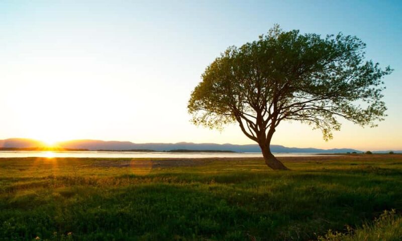 L'Isle-aux-Grues: Secret Islands of St. Lawrence Expedition - Discover the 21 Islands of the Archipelago