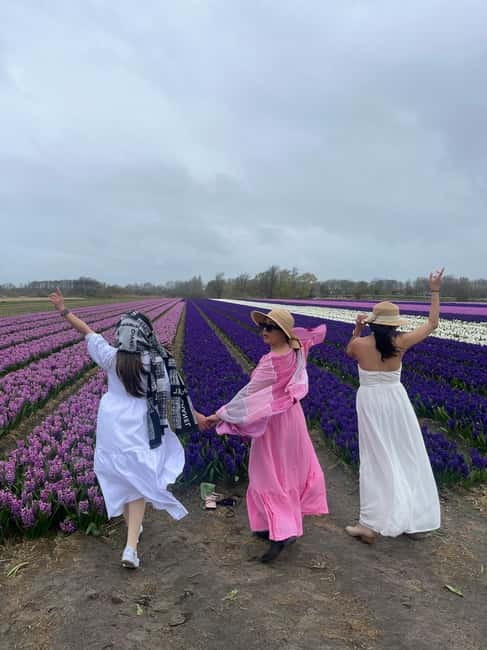 Lisse: Private Tulip Fields Tour with a Local Guide 1h Tour - An Intimate 1-Hour Tour in Lisse’s Tulip Fields