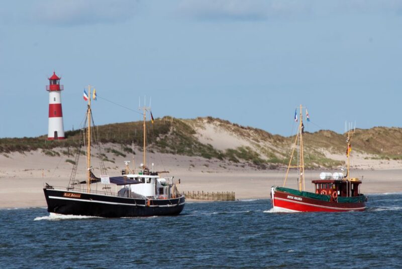 List/Sylt: Guided Seal-Watching Cruise on a Rustic Boat - Key Points