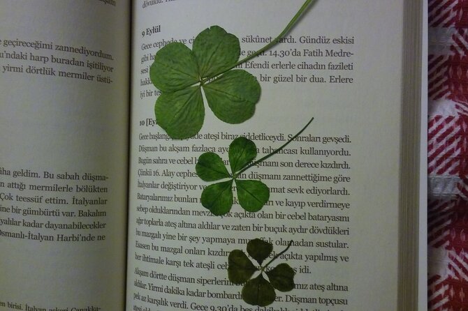 Little Hagia Sophia / Aromatherapy Workshop / Breakfast (include) - Logistics: Meeting Point and Group Size