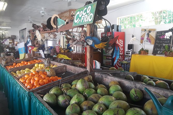 Little Havana Food museums performing arts galleries music cigars - Experiencing Local Life at Domino Park