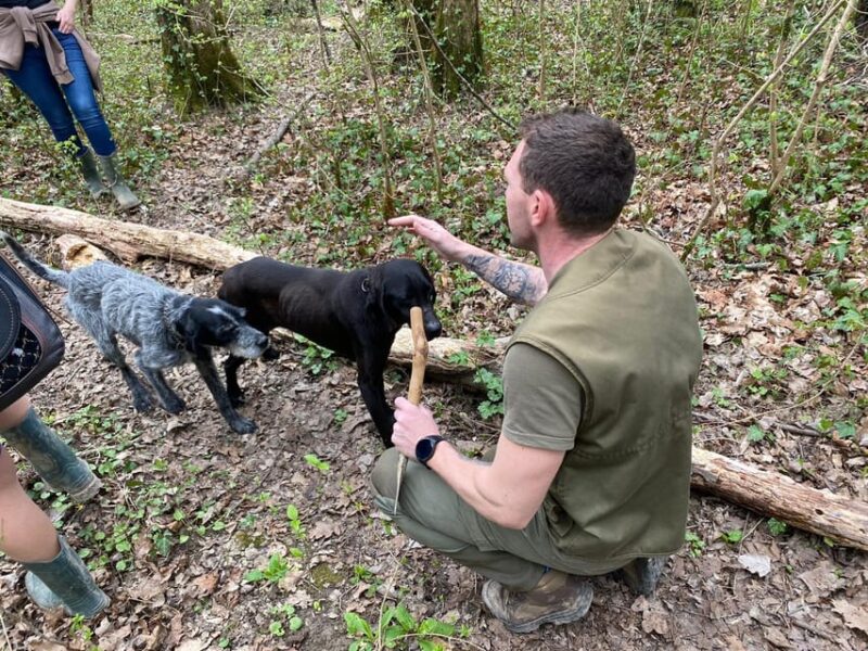 Livade: Guided Truffle Hunting Walking Tour - The Experience: What Makes It Special