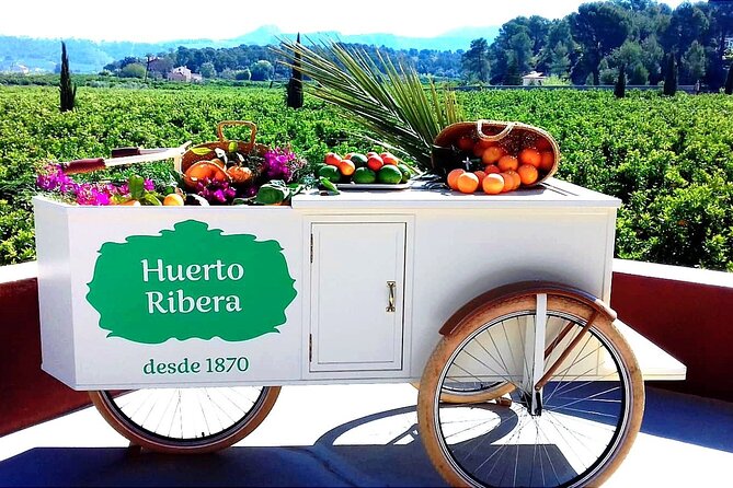 Live an Experience Among Orange Trees in Huerto Ribera - Key Points