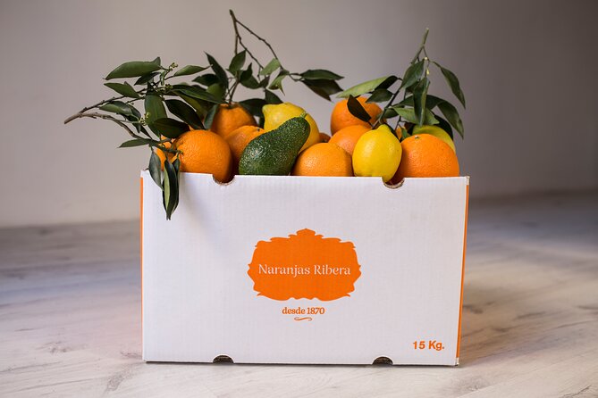Live an Experience Among Orange Trees in Huerto Ribera - The Citrus Tasting and Local Products