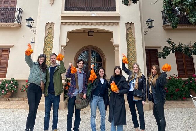 Live an Experience Among Orange Trees in Huerto Ribera - Walking Through the Gardens and Orange Groves