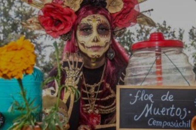 Live Noche de Muertos at Xochimilco: Dinner and local beers - Insights from Past Reviews: Food and Light Displays