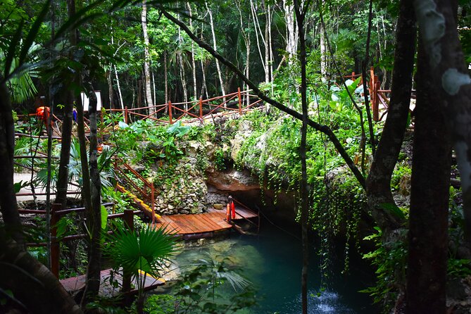 Live the adventure in 3 cenotes in the jungle! - Key Points