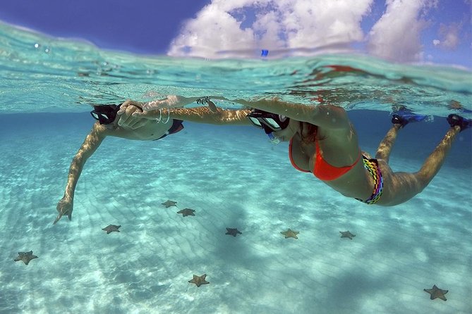 Live this unique snorkeling experience. El Cielo in Cozumel a magical tour. - Key Points