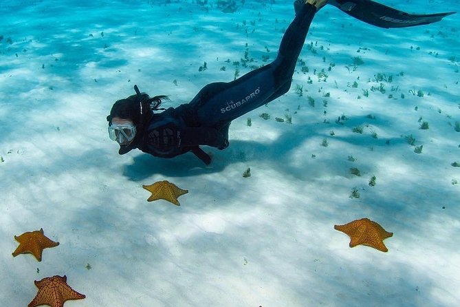 Live this unique snorkeling experience. El Cielo in Cozumel a magical tour. - Relaxing at El Cielito Beach and Lunch Break