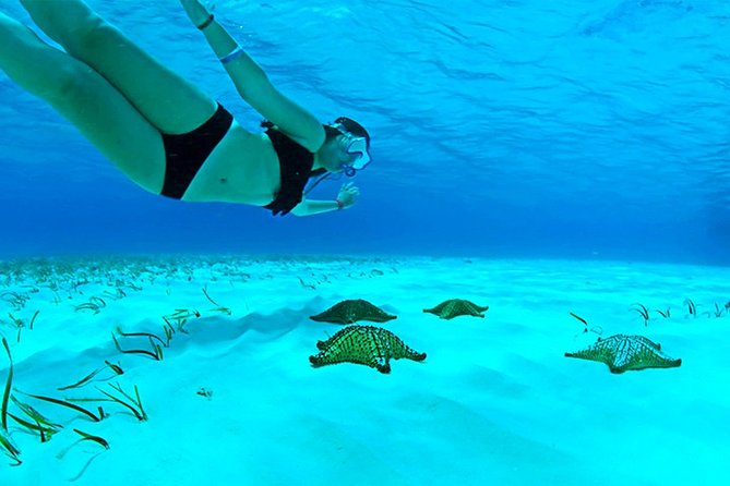 Live this unique snorkeling experience. El Cielo in Cozumel a magical tour. - Practical Considerations and Recommendations