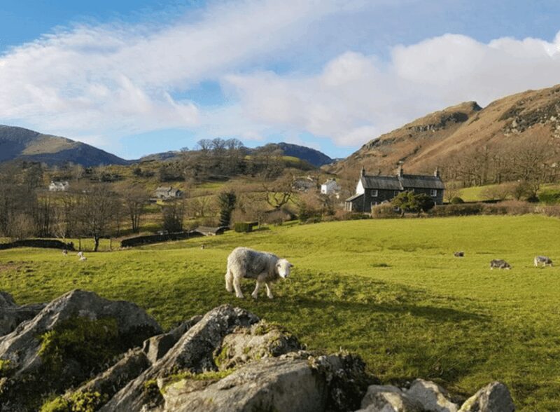 Liverpool: Lake District Tour with Lake Cruise - Scenic Village Stays and Quaint Shops