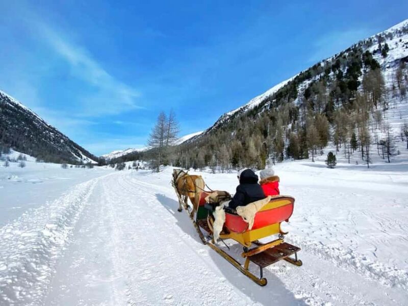 Livigno: Horse-Drawn Sleigh Ride with Blankets - Key Points