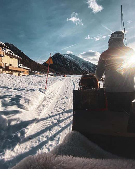 Livigno: Horse-Drawn Sleigh Ride with Blankets - Who Will Love This Horse-Drawn Sleigh Ride?