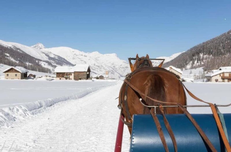 Livigno: Horse-Drawn Sleigh Ride with Blankets - The Value of a Traditional Alpine Experience