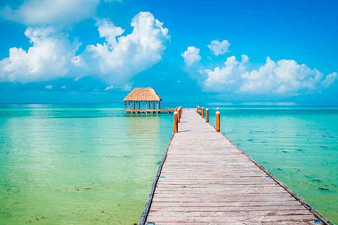Living Dream, Holbox Tour! Round Transportation from Cancun - Key Points