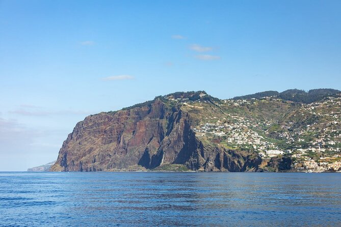 Living Sea Boat Trip in Madeira from Funchal - Key Points