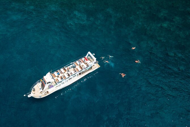 Living Sea Boat Trip in Madeira from Funchal - Wildlife Encounters: Dolphins, Sea Turtles, and Flying Fish