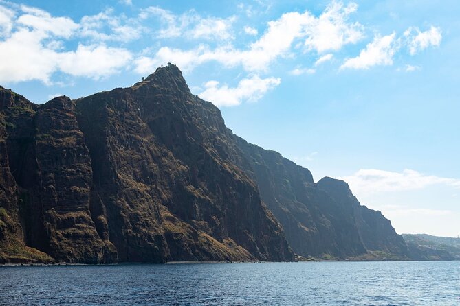 Living Sea Boat Trip in Madeira from Funchal - Comparing Similar Experiences in Madeira
