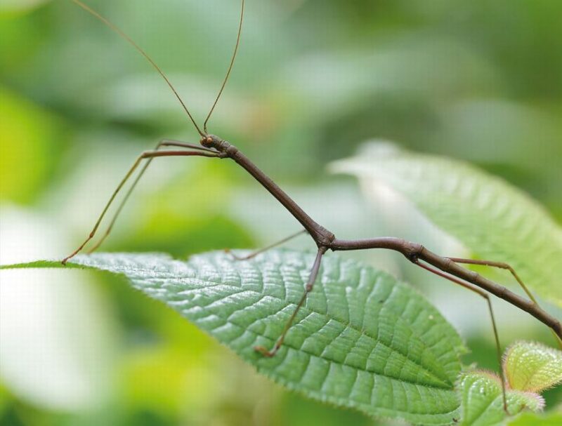 Livorno: Aquarium Entrance Ticket - Discover the Livorno Aquarium: A Full-Day Experience for $17