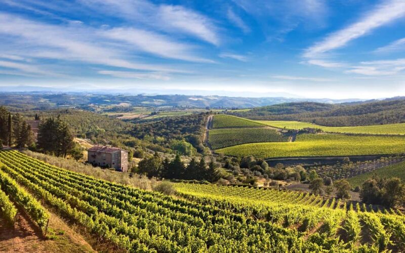 Livorno: Half-Day Chianti Wine Tasting Tour and Winery Visit - Scenic Drive Through Tuscany’s Idyllic Hills and Valleys