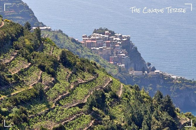 Livorno Private Shore Excursion to Portovenere and the Cinque Terre - Practical Details: Logistics and Inclusions