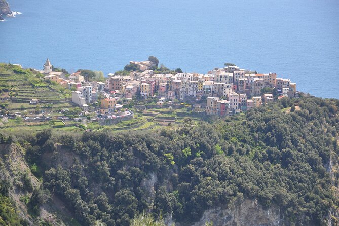 Livorno Private Shore Excursion to Portovenere and the Cinque Terre - Reviews Highlighting Guide Expertise and Scenic Highlights