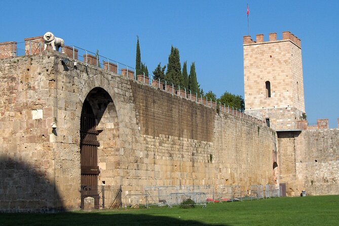 Livorno Shore Excursion: Pisa, Lucca and wine experience Private Day Trip - Visiting a Local Winery for a Wine Experience