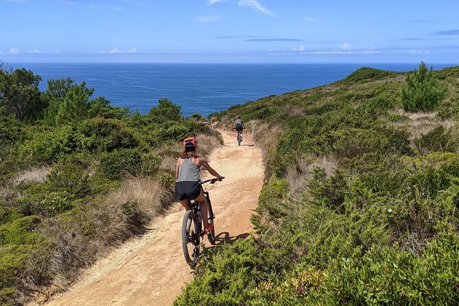 Lizandro Trails - Mountain Biking - Essential Details: Price, Duration, and Booking Lead Time