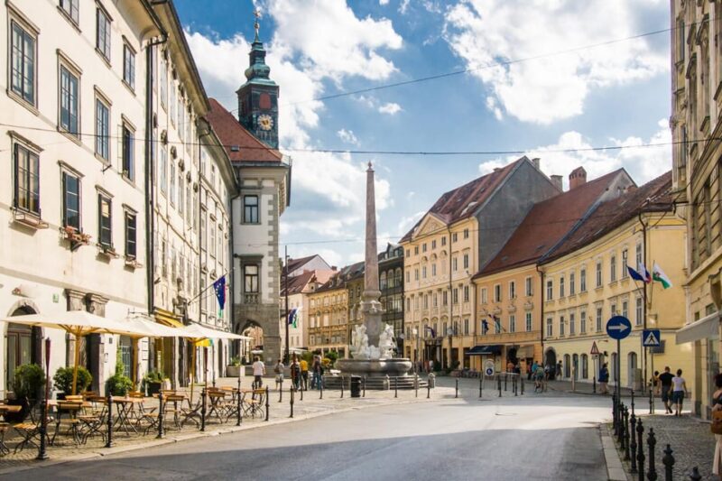 Ljubljana: 2.5h walking tour with local guide - Practical Details: Logistics and Comfort